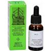 Alkaest MGS23 CARPINO MACERATO GLICERICO SPG 20 ML
