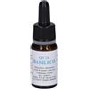 Alkaest QUINTESSENZA QE24 BASILICO 10ML