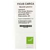 OTI Officine Terapie Innovative FICUS CARICA MACERATO GLICERICO 10% GOCCE 100ML
