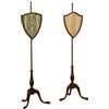 Pole Screen Antichi Giorgio IV Inghilterra XIX secolo Legno Citronnier