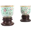 Coppia Jardiniere epoca Guangxu Inizio '900 Ceramica Decori Floreali