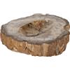 Svuotatasche in Legno Fossile | Antiquariato Oggetti antichi in legno