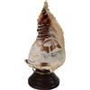 Lampada Antica Cammeo Conchiglia Italia '900 Legno inciso non Coevo
