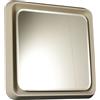 Specchio Vintage a Parete anni 60 Cornice in ABS Retro Illuminato