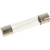 HorecaForniture Fusibile Ritardato Ø 6,3X32 Mm - 10 Pz 3049061