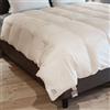 Daunex Adamello Medium in piumino argentato esterno cotone