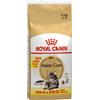 Royal Canin Breed Royal Canin Maine Coon Adult Crocchette per gatto - 10 kg + 2 kg GRATIS!