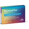 NBF Lanes REUTERAL PET CANE 30 CAPSULE