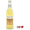 Ginger Ale Fever Tree Cl.20