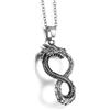 GTHIC Drago norreno Ouroboros Collane con ciondolo per uomo Donna Gioielli vichinghi con catena, collana in argento da 60 cm