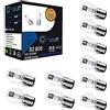 LIGHTWORLD24 Welt der Lichter LIGHTWORLD24 - Set 10 Lampadine Alogene BA20d S2 35/35W 12V per Moto e Scooter - Super Luminose, Luce Abbagliante e Anabbagliante, Compatibili con Motorino e Scooter - Lampadine Bilux