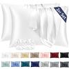 Vielit Set di 2 Federe Raso 50x80cm & 2 Scrunchies, Design con Chiusura A Busta, Morbido come una Federe Seta Cuscino, Bianco Federe Cuscini 50x80
