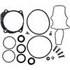 Evinrude - Johnson Kit guarnizioni e O-Ring Evinrude Johnson BRP BRP-Evinrude-Johnson