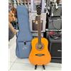 Eko Ranger Futura chitarra acustica amplificata Fishman Flex Plus T. + GIG BAG