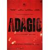 Vision Distribution Adagio