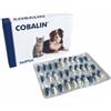 Vetplus Cobalin Integratore per livelli di cobalamina e folati in cani e gatti 60 capsule