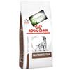 Royal Canin GASTROINTESTINAL ROYAL CANIN SECCO CANE 15 KG VETERINARY DIET ITALIA N 2 SACCHI