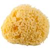 Rotho Babydesign Spugna naturale del Mar Mediterraneo, Prodotto naturale, Diametro 9-10cm, Giallo