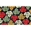 Coco&Coir Everything in a nutshell Coco&Coir® | zerbino di cocco | Non scivolare | Coir spessa | Qualità Premium | Gommato Ecologico | al coperto | all'aperto | Zerbino d'ingresso | 45 x 75 cm