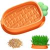 GUOYOU Kit Erba Gatta, Kit per la Coltivazione di Erba Gatta Con 5 Bustine Semi Erba Gatta, Scatola per Piantare Erba Gatta, Germinazione Vassoio Per Erba Per Gatti, Adatto a Tutti i Gatti