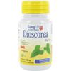 Longlife Dioscorea