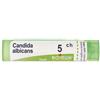 BOIRON Srl CANDIDA ALBICANS 5CH GRANULI 4G