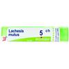 BOIRON SRL LACHESIS MUTUS 5 CH GRANULI 4G