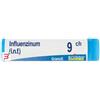 BOIRON Srl INFLUENZINUM 9CH GLOBULI 1 DOSE 1G