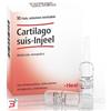 GUNA SpA HEEL CARTILAGO SUIS INJEEL 10 FIALE