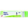 BOIRON SRL RIBES NIGRUM 5CH GRANULI 4G