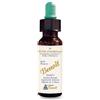 ALCHIMIA BENOIT SRL FIORI DI BACH BENOIT STAR OF BETHLEHEM 10 ML