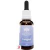 BUSH BIOTHERAPIES PTY LTD CAREGIVER 30 ML