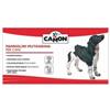 Camon Pannolini Mutandina Camon - 1 conf da 12 pannolini - Tg. XL - 1° ORDINE? scegli lo sconto BZR5 / BZR20 + 200 punti fedeltà