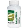 Syform Ganoderma 100 Capsule