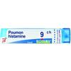 BOIRON SRL POUMON HISTAMINE 9 CH GRANULI 4G