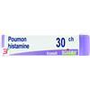 BOIRON SRL POUMON HISTAMINE 30 CH GLOBULI 1G