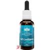 BUSH BIOTHERAPIES PTY LTD SELF CONFIDENCE ESSENCE AUSTRALIAN 30 ML