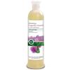 Sapone di un Tempo Bio Shampoo Capelli Grassi con Forfora