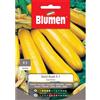 Blumen zucchino gold rush f.1