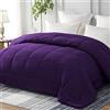 Yebeda Piumino per 4 Stagioni, 200 x 200 cm, Trapunta in Microfibra, Piumone per Letto Matrimoniale, Traspirante e Super Morbido per Tutte le Stagioni, Viola