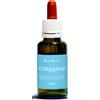 Natur Spiritual Natur Mix Coraggio! 30ml