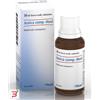 GUNA SpA HEEL ARNICA COMPOSTO GOCCE 30 ML