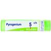 BOIRON SRL PYROGENIUM 5 CH GRANULI 4G
