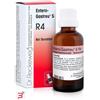 DR.RECKEWEG & CO. GMBH RECKEWEG R4 GOCCE 22ML