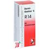 DR.RECKEWEG & CO. GmbH RECKEWEG R14 GOCCE 50ML
