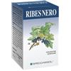 SPECCHIASOL SRL Ribes Nero Erbe 60 Capsule