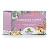 Valverbe Tisana Echinacea Alpina Biologico 20 Filtri - Pacco da 6 - 180 g