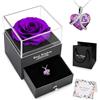 NEWUPZSI Rosa Stabilizzata Vera, Rosa Eterna Con Collan, Regalo Originale per Festa Della Mamma, Forever Rose per Moglie, San Valentino, Anniversario Matrimonio