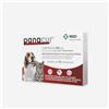 CentroVete Pan-A-Cur- MSD Vermifugo antiparassitario per Cane e Gatto 250mg 10 CPR