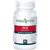 Erba vita Aglio 60 capsule 500 mg